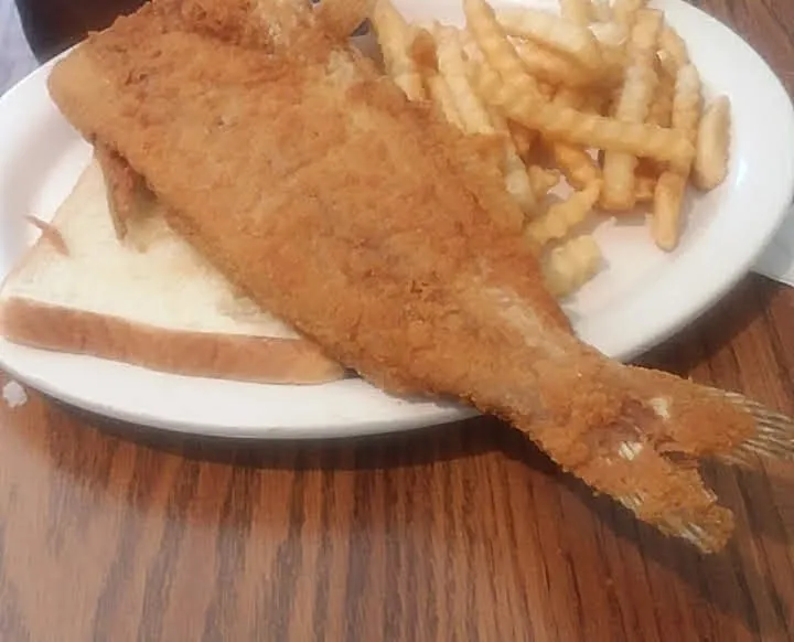 Cat Fish Dinner